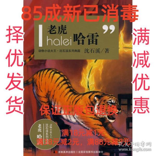 醉虎最新小說揭秘，未知世界的魅力與奇幻探索