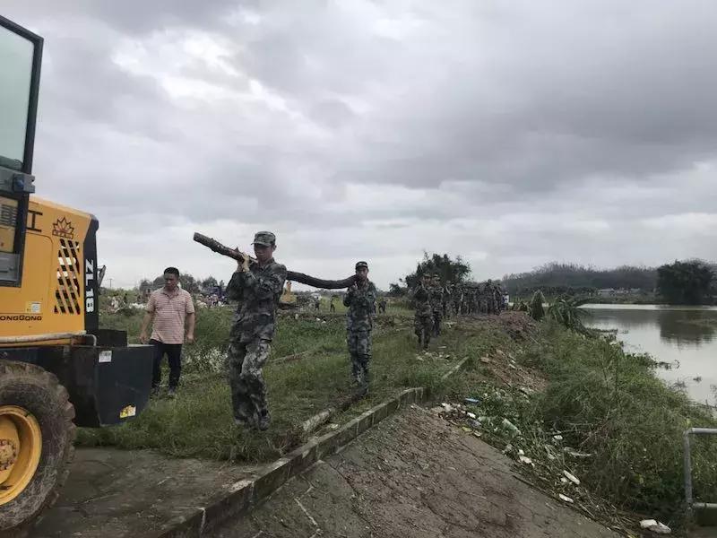 廣東臺風(fēng)最新動態(tài)，開平市受影響情況更新