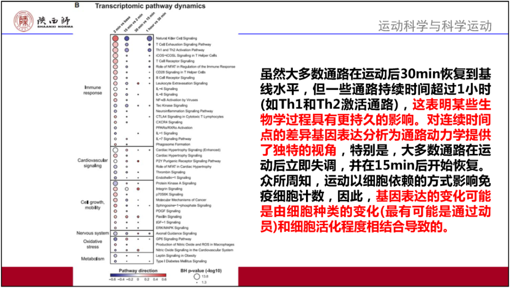 2024年香港資料免費大全,效率資料解釋落實_Prime83.787