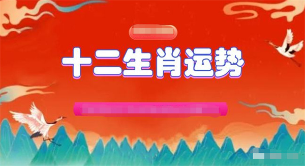 2024年一肖一碼一中一特,詮釋分析定義_運動版13.665