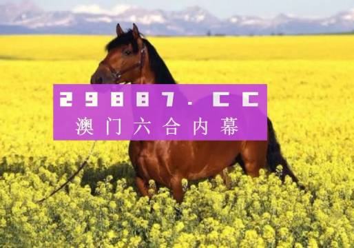 澳門天天六開彩正版澳門,效率資料解釋落實(shí)_RX版31.98