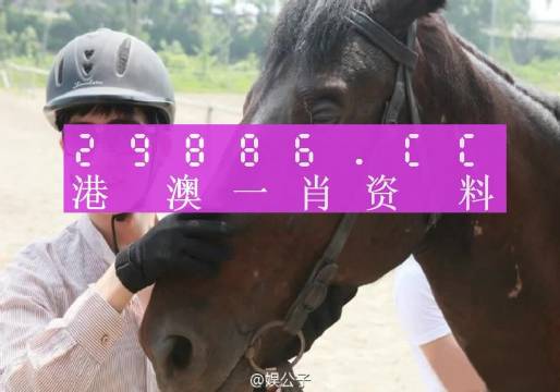 澳門一肖一碼一必中一肖同舟前進(jìn),準(zhǔn)確資料解釋落實(shí)_RX版75.205