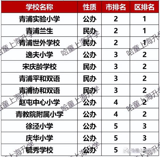 上海最新小學排名概覽，名校榜單及特色解析