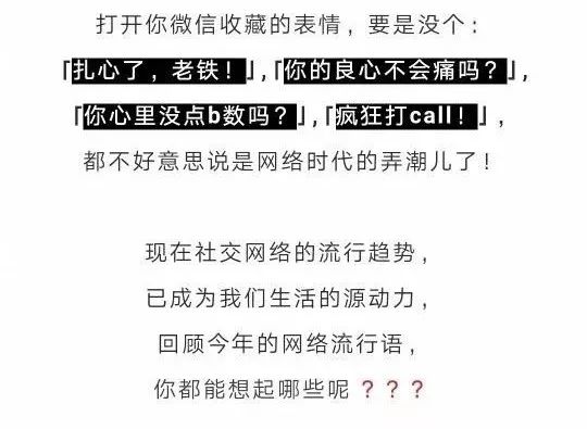 新潮語境下的網絡溝通藝術，最新流行網絡語言探索