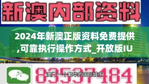 新澳2024年精準資料32期,持續(xù)設計解析_精簡版53.238