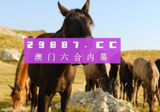 澳門(mén)管家婆一碼中2024,系統(tǒng)化說(shuō)明解析_4K21.19