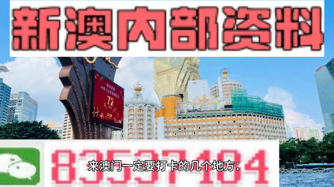 2024新澳門正版精準(zhǔn)免費大全,前瞻性戰(zhàn)略定義探討_10DM31.428