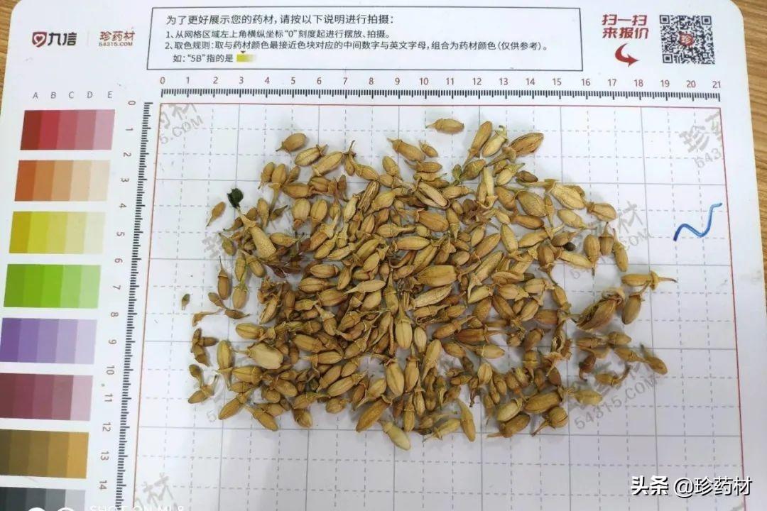 螞蝗最新價(jià)格及市場(chǎng)影響分析